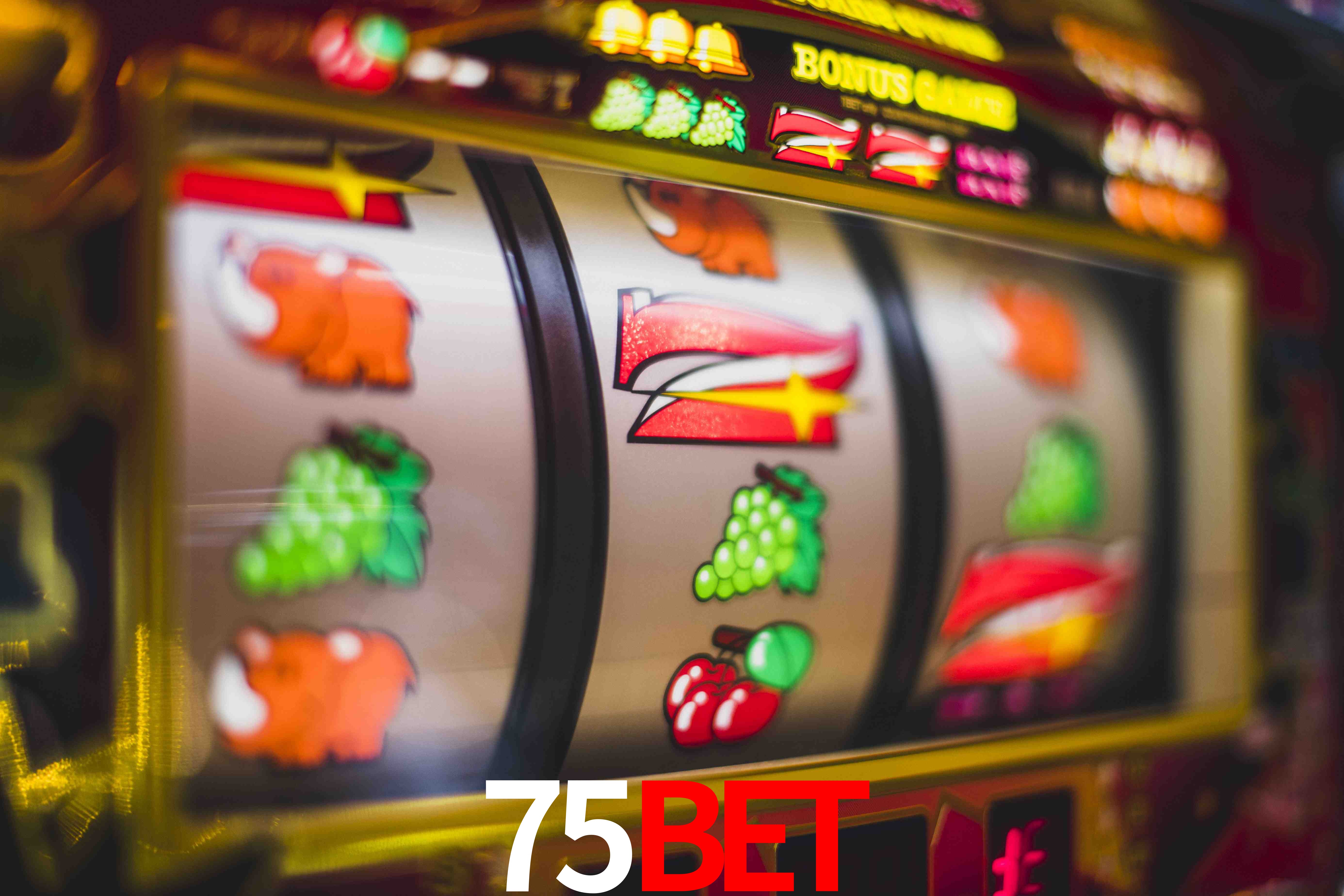 Tennis Betting 75bet